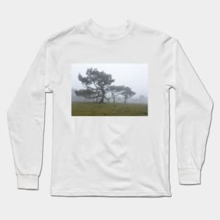 Ancient trees shrouded in fog Long Sleeve T-Shirt